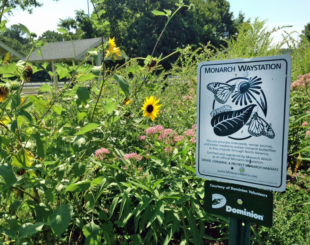 Pollinator Waystation